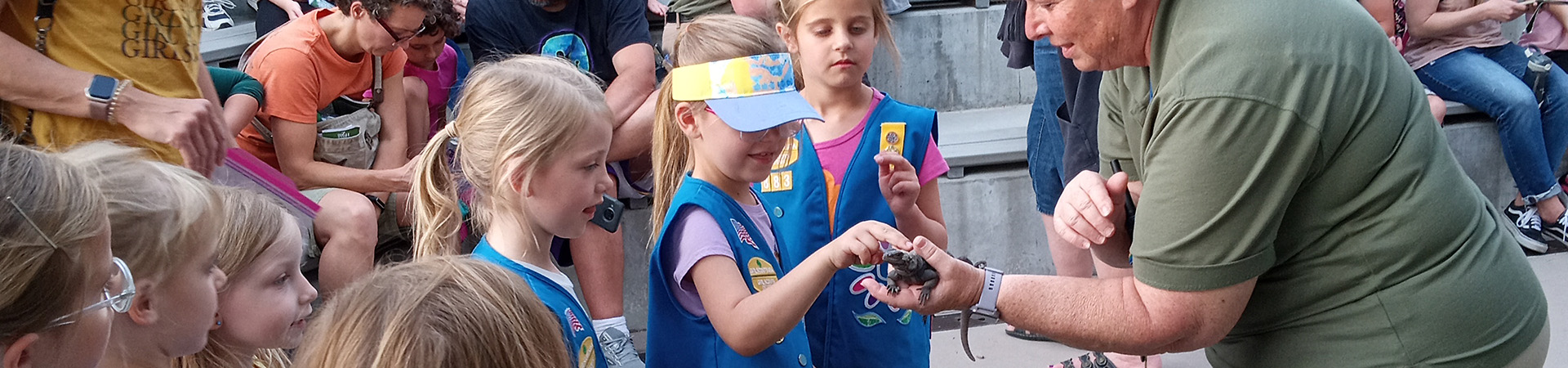  Daisy Girl Scouts meeting a lizard at the zoo 