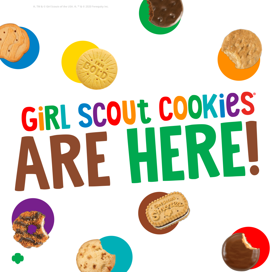 Vinyl Banner Cookies Sold Here Girl Scout / Cookie Scouts Sign Free Overnight Shipping