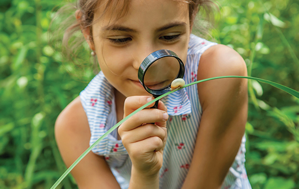 Daisy Girl Scout looking at a snail on a leaf through a magnifying glass.